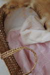 Vichy rose